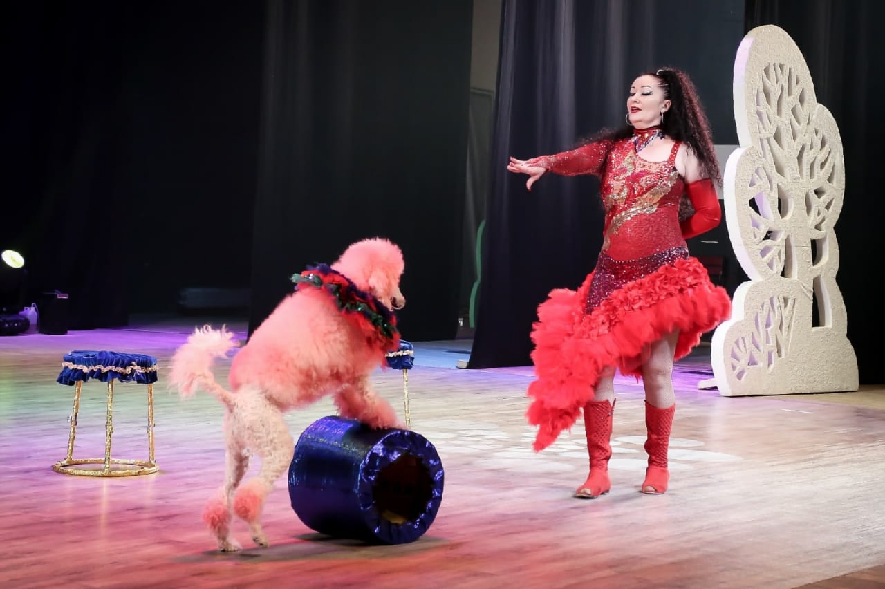 Цирк Новогодний карнавал в г.Белгород