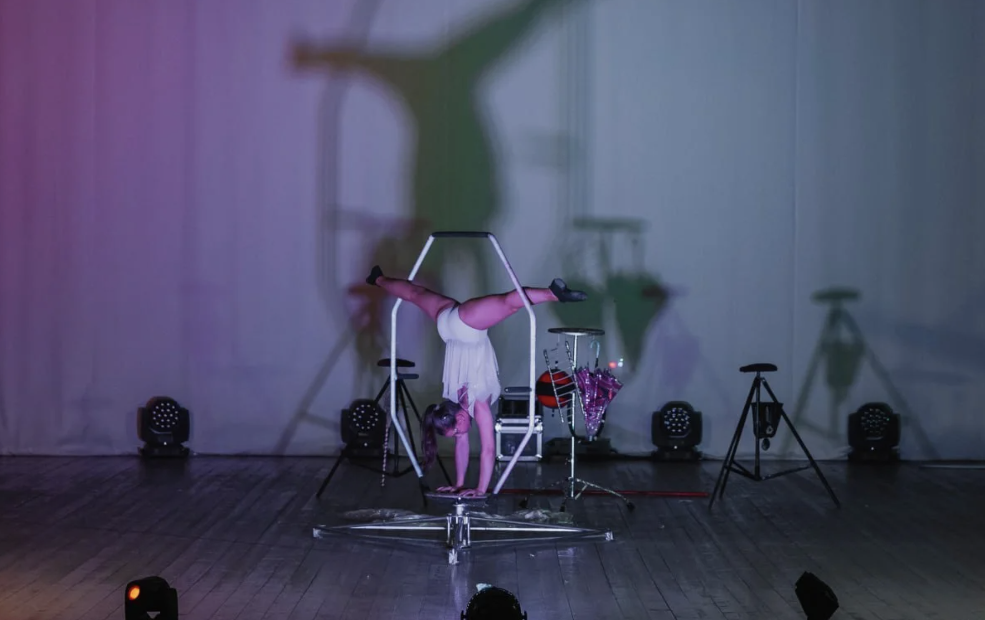 Цирк Новогодний карнавал в г.Белгород 2025