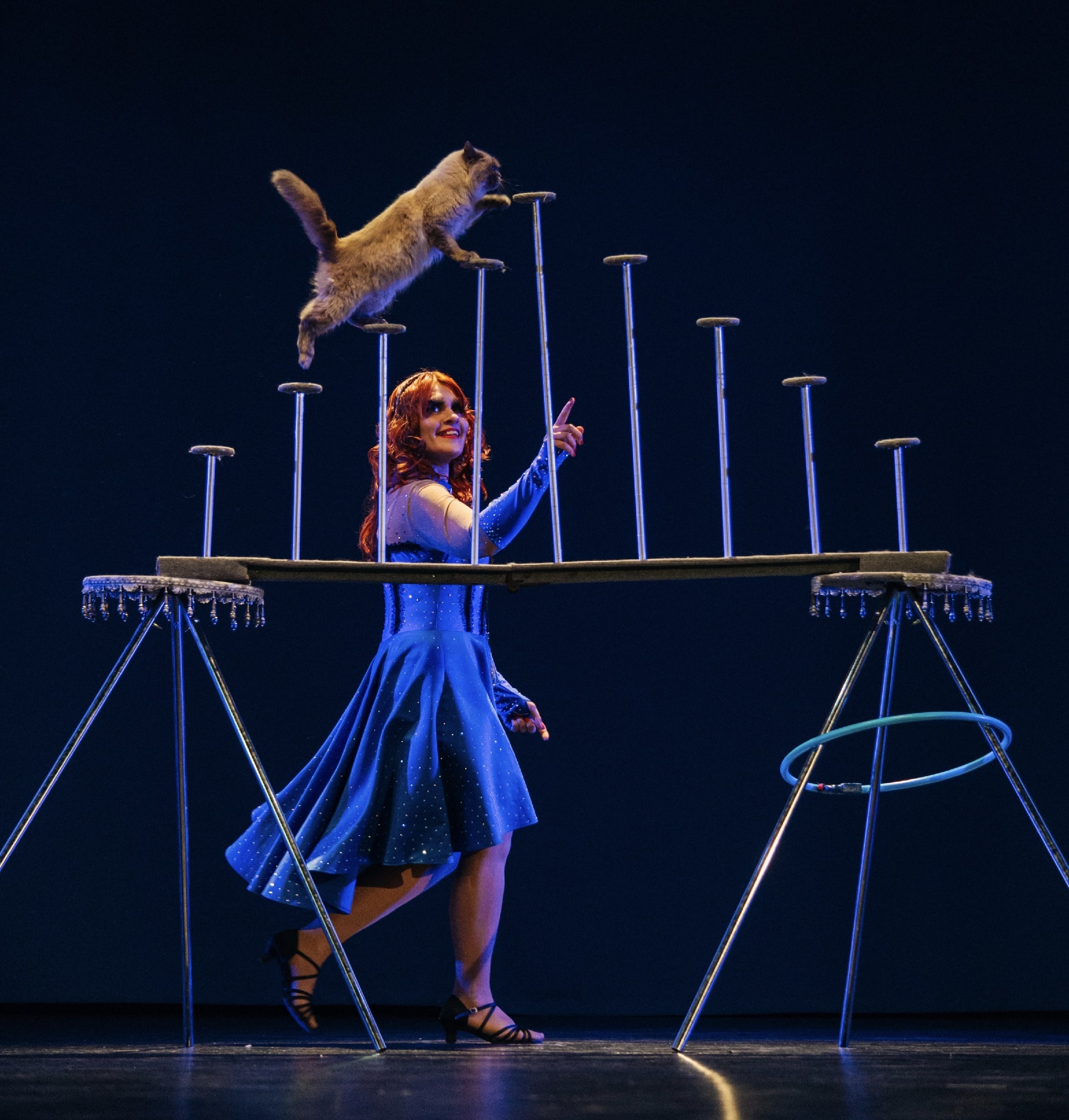 Цирк Новогодний карнавал в г.Белгород 2025