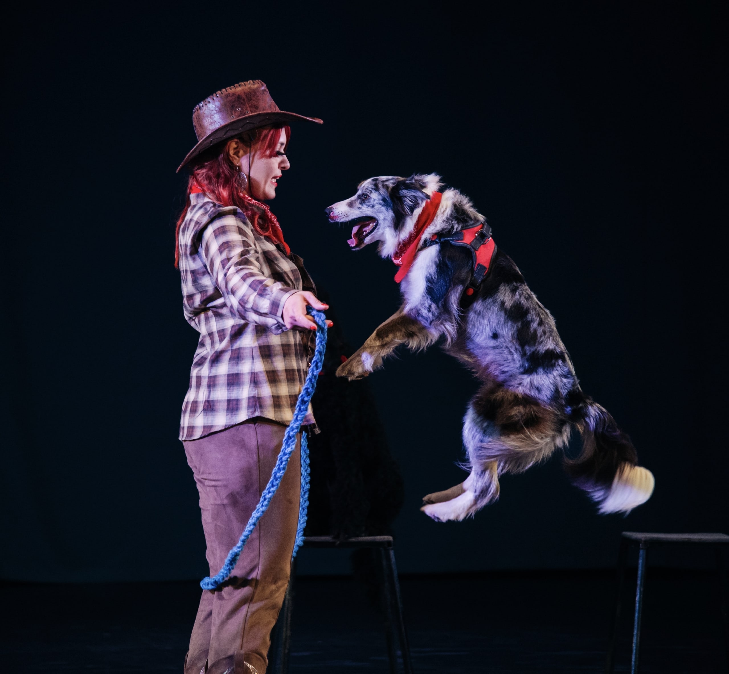 Цирк Новогодний карнавал в г.Белгород 2025