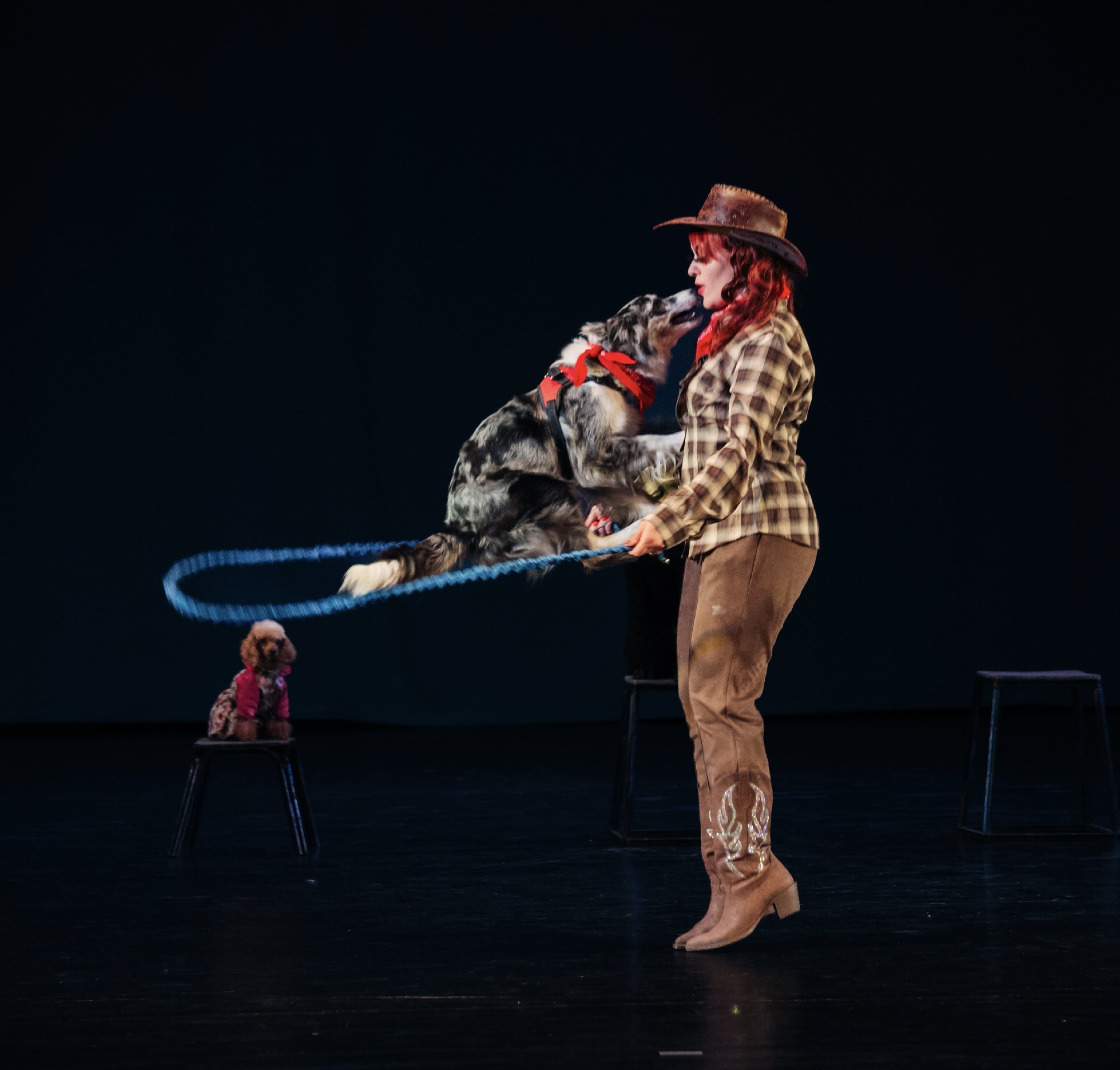 Цирк Новогодний карнавал в г.Белгород 2025