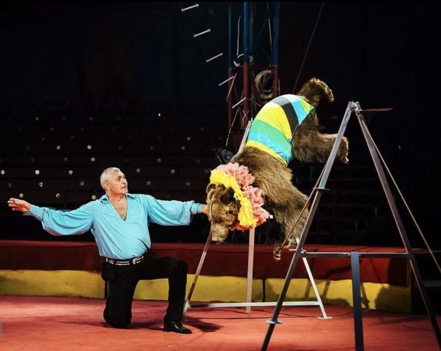 Цирк Каракат шоу Русские мишки Оренбург 2026