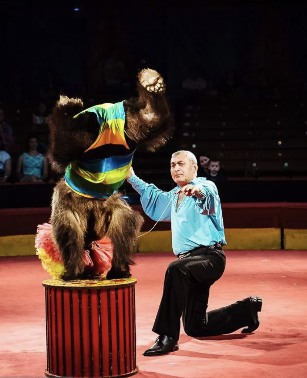 Цирк Каракат шоу Русские мишки Оренбург 2026