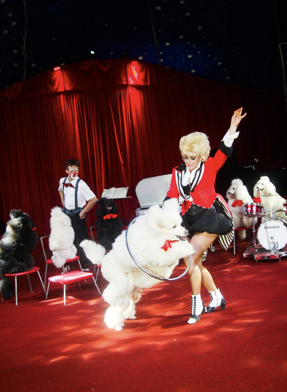 Цирк Каракат шоу Русские мишки Оренбург 2026