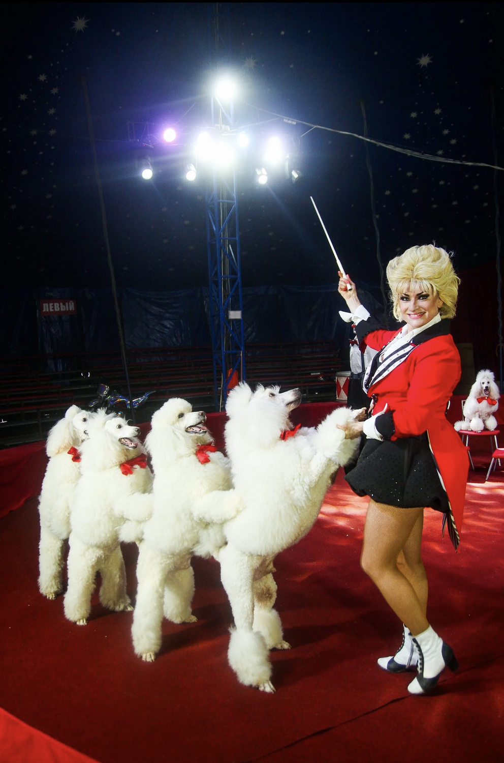 Цирк Каракат шоу Русские мишки Оренбург 2026