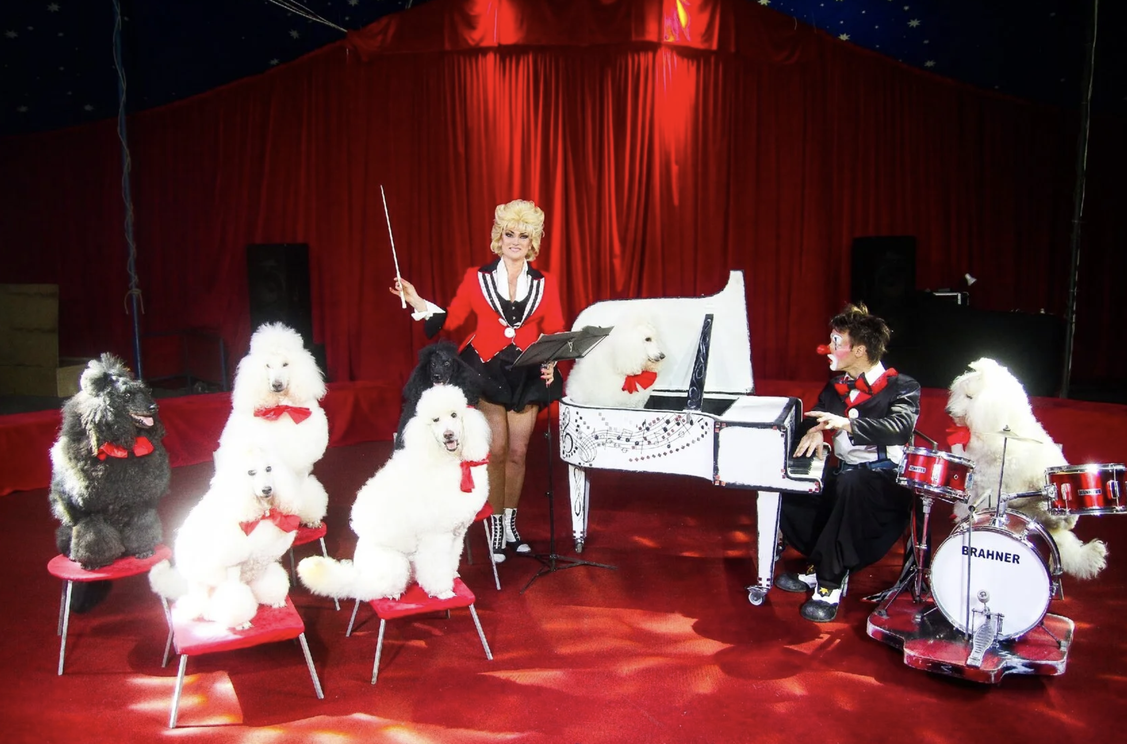 Цирк Каракат шоу Русские мишки Оренбург 2026